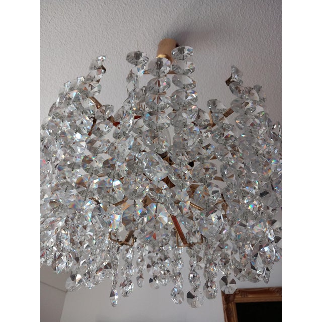 Crystal Chandelier from Bakalowits & Söhne For Sale - Image 13 of 13