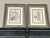 Vintage Botanical Prints Framed Authentic 1910 Canadian Farm Weed Prints - Set of 4 For Sale - Image 4 of 7