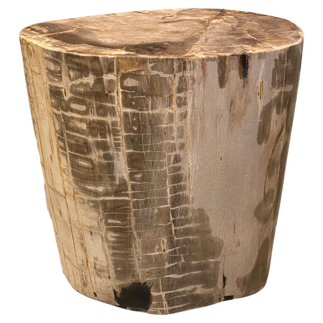 Andrianna Shamaris Large Ancient Petrified Wood Side Table For Sale - Image 15 of 18