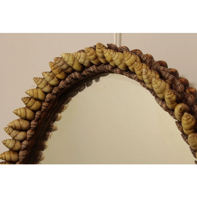 1980s 1980s Anthony Redmile Shell Art Oval Wall Mirror For Sale - Image 5 of 13