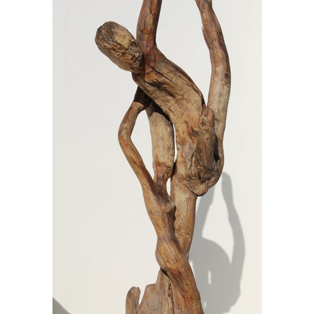 Auburn 1950s Monumental Figurative Mid Century Driftwood Sculpture For Sale - Image 8 of 12
