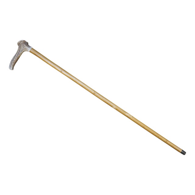 Vintage Wooden Elk Stag Horn Antler Handle Walking Stick Cane For Sale