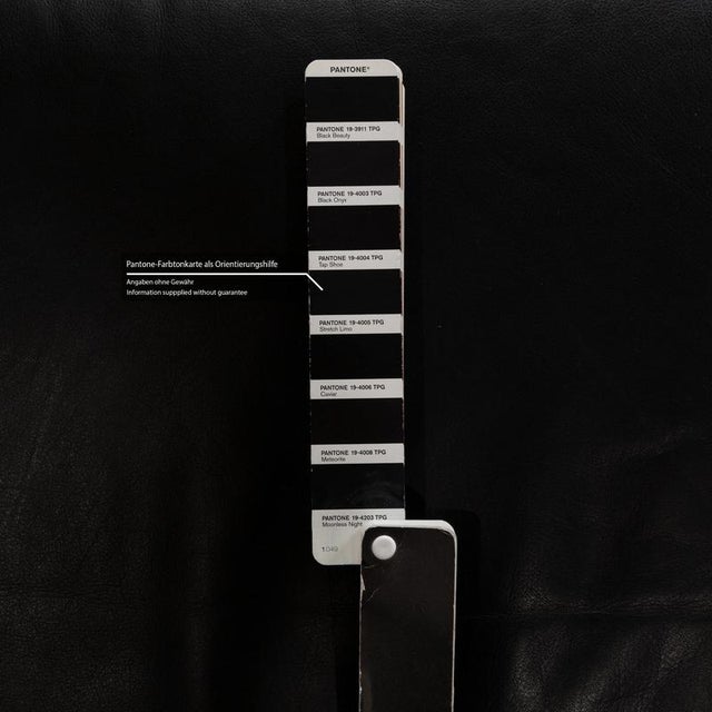 Animal Skin Conseta Leather Two-Seater Black Sofa from Cor For Sale - Image 7 of 13