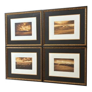 Jamie Cook Giclée APs (Set of 4) For Sale