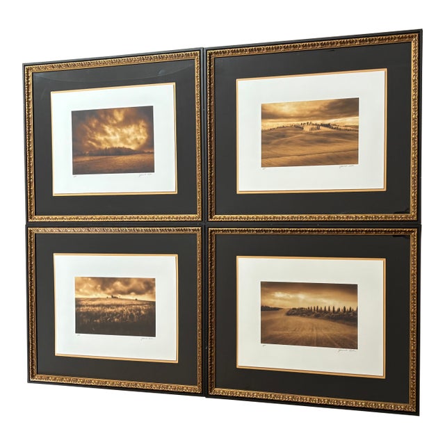Jamie Cook Giclée APs (Set of 4) For Sale