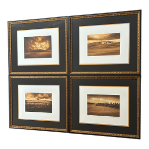 Jamie Cook Giclée APs (Set of 4)