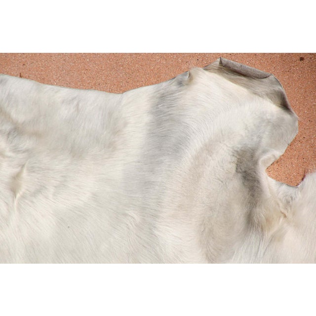 Hand-Crafted White Cowhide Rug from Argentina, Folk Art Style, 1980 For Sale - Image 18 of 18