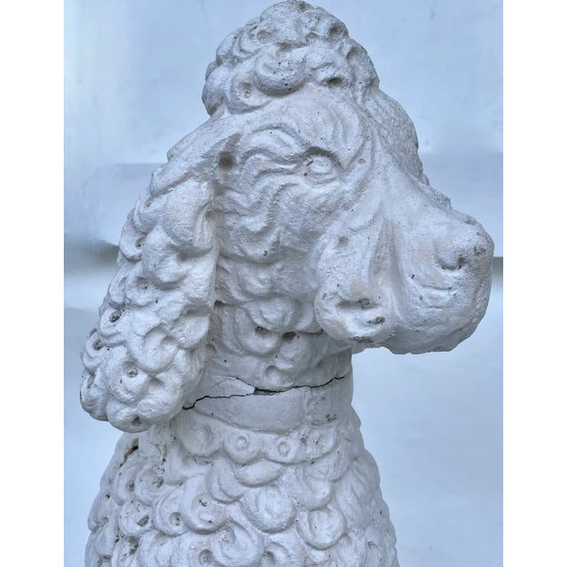 Stone White Standard Poodle Dog Statue Garden Ornament Mid 20th Century For Sale - Image 7 of 10