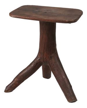 Wooden Stool with Tree Branch Legs, France, 1850s