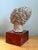 Vintage Plaster Head Sculpture on Wood Base For Sale - Image 11 of 12