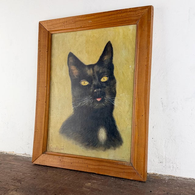 Cat Portrait, 1920s, Oil Painting on Panel, Framed For Sale - Image 4 of 14
