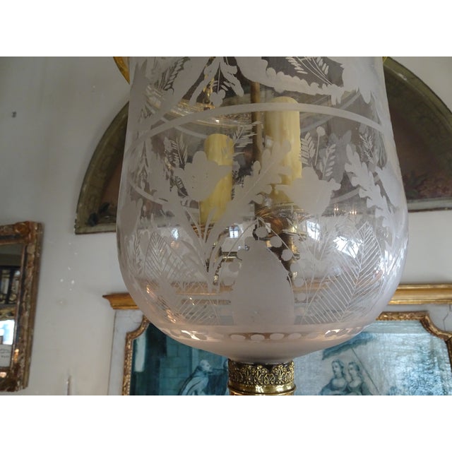 Antique French Glass Cloche Chairish