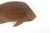 Wood Vintage Hand Carved Wood Fish Wall Decor For Sale - Image 7 of 12