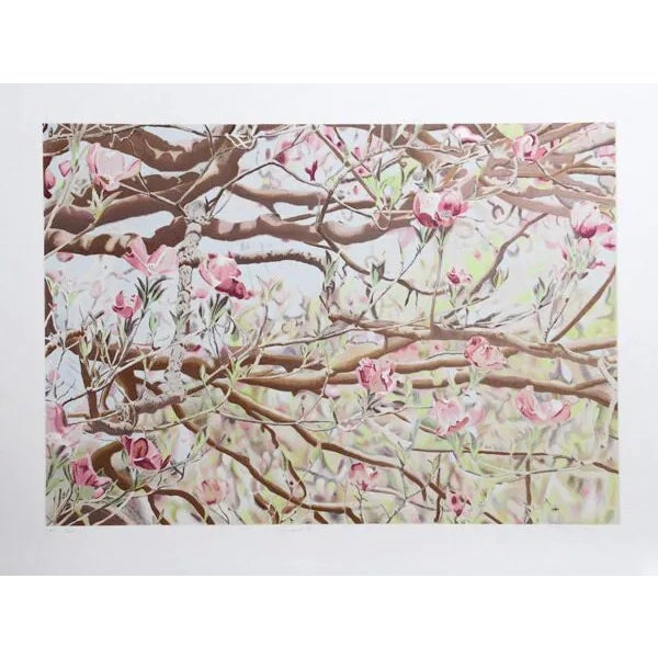 Jon D'Orazio, "Dogwood II," Lithograph For Sale