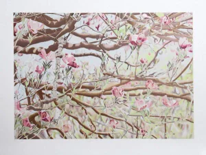 Jon D'Orazio, "Dogwood II," Lithograph