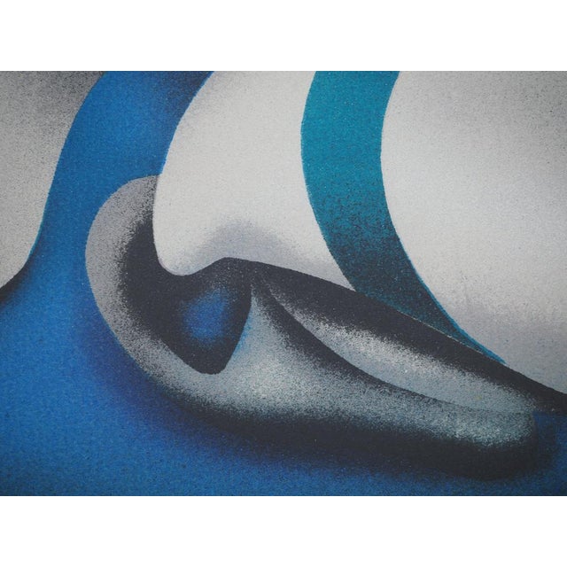 Jean-Paul Donadini, Le pigeon voyageur, Lithograph For Sale - Image 5 of 9