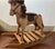 Wooden Rocking Horse Amish Handcrafted Wood With Leather Seat Harness For Sale In Philadelphia - Image 6 of 6