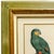 1950s Framed French Ornithological Parrot Lithographs After Jacques Barraband - A Pair For Sale - Image 9 of 13