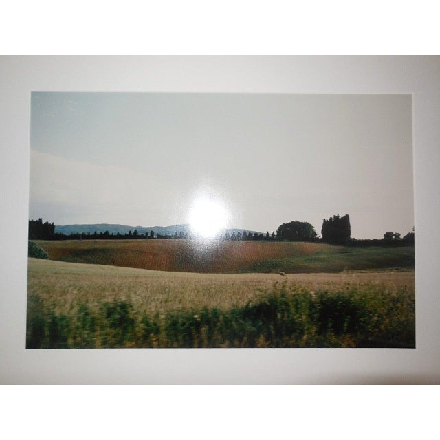 Late 20th Century Joel Meyerowitz, Tuscany, Hillside, 1996, 1996 For Sale - Image 5 of 7