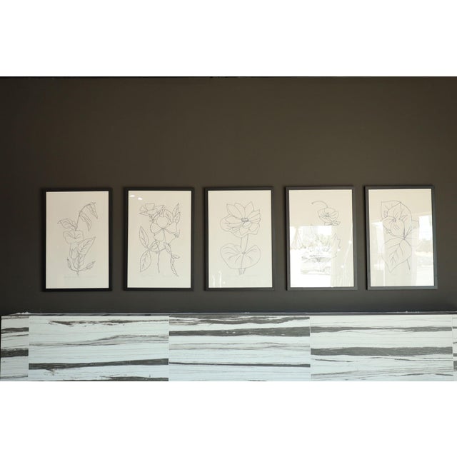 These are beautiful botanical drawings by Betsy Tryon, most dtd 1978 to 1979. We have framed six of them in the black...