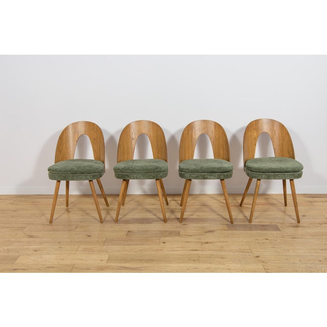 Mid-Century Modern Mid-Century Modern Ash Veneer Dining Chairs by Antonín Šuman for Mier Topoľčany, Czechoslovakia, 1960s, Set of 4 For Sale - Image 3 of 18