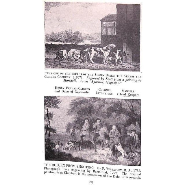 "The Complete Cocker Spaniel" 1946 Denlinger, Milo G. For Sale - Image 13 of 17