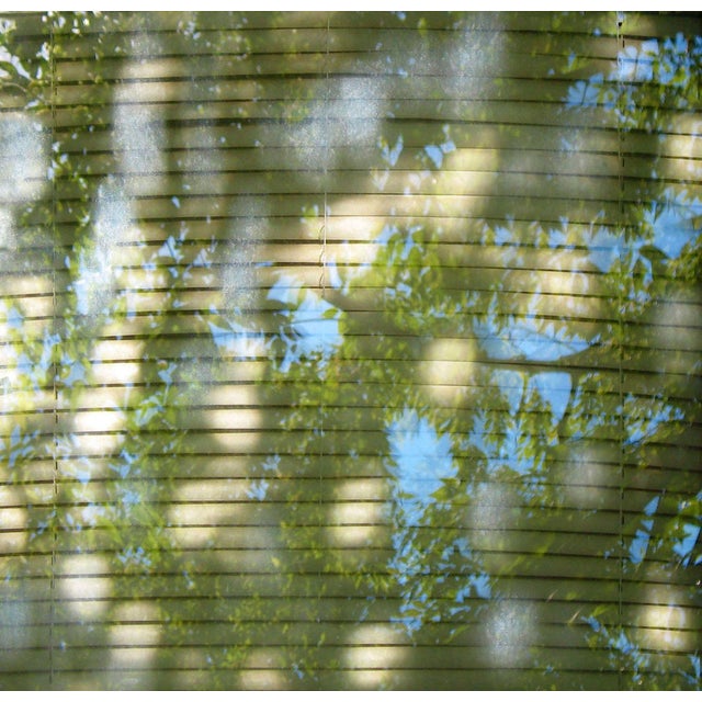 Light Dancing Here, 2021, Ed. 1/5 Contemporary Photographic Resin Art by Isabelle Schneider For Sale