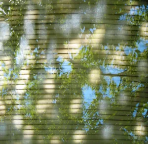Light Dancing Here, 2021, Ed. 1/5 Contemporary Photographic Resin Art by Isabelle Schneider