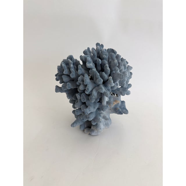Shell Natural Blue Coral Specimen Coastal Decor For Sale - Image 7 of 7