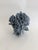 Shell Natural Blue Coral Specimen Coastal Decor For Sale - Image 7 of 7