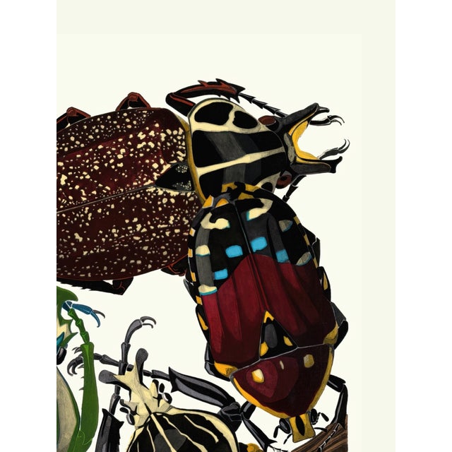 Art Deco Insects Plate 03 by Emile-Allain Séguy, Vintage Art Print Reproduction, 18" × 24" For Sale - Image 3 of 6