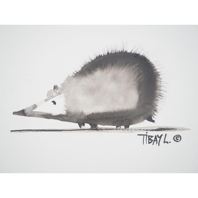 Laszlo Tibay (1962) The Hedgehog Original ink and wash drawing Signed lower right On thin cardboard, 30 × 20 cm (approx....