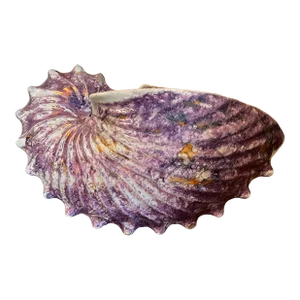 Antique George III Wedgwood Pink Moonlight Lustre or Luster Nautilus Shell Form Bough Pot Wall Pocket Vase 1810