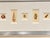 Early 19th Century Antique Coastal Seashell Prints | Custom Framed Museum Glass | by Donovan, Circa 1804 For Sale - Image 5 of 5