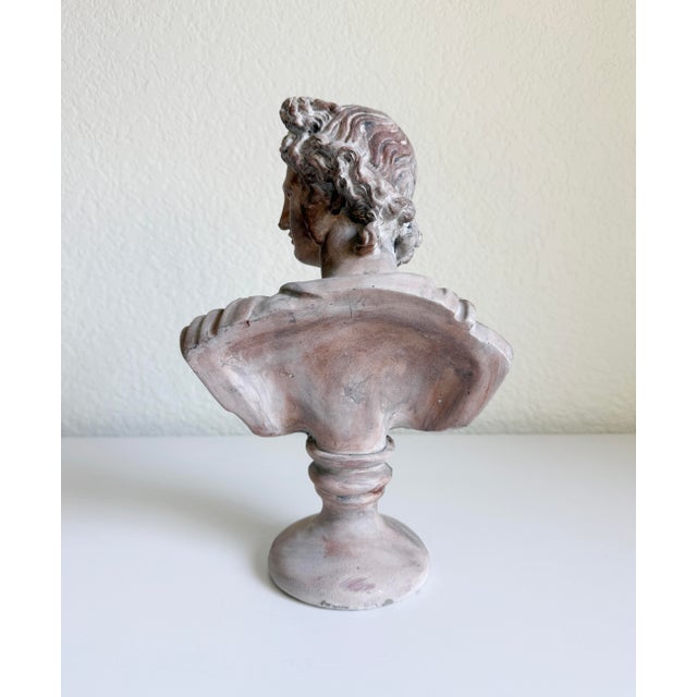 Classical Bust of Apollo Belvedere, Early 21st Century For Sale - Image 9 of 12