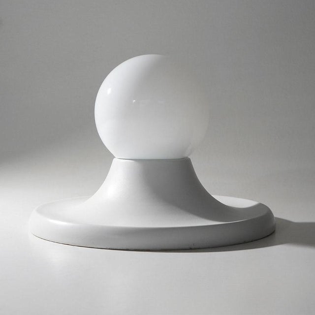 Metal Light Ball Ceiling Light by the Castiglioni Brothers for Flos, 1960s For Sale - Image 7 of 13