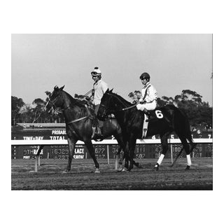 1971 Equestrian Photograph by Don Ware For Sale