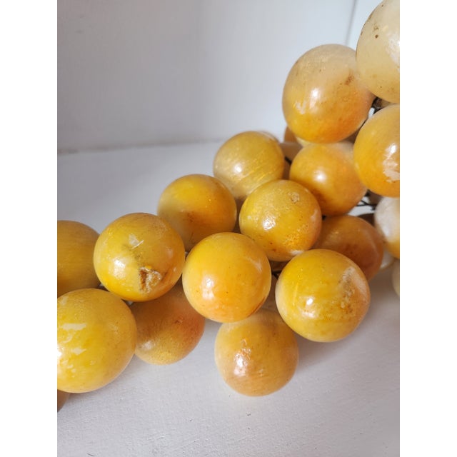 Extra Large Yellow Alabaster Grapes For Sale - Image 4 of 12