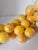 Extra Large Yellow Alabaster Grapes For Sale - Image 4 of 12