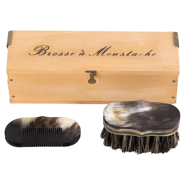 Box with Comb and Brush by Carl Auböck, Austria, 1960s For Sale