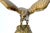 1970s U S Olympic Team Medal Winner's Sculpture Solid Brass Eagle Statue For Sale - Image 4 of 17