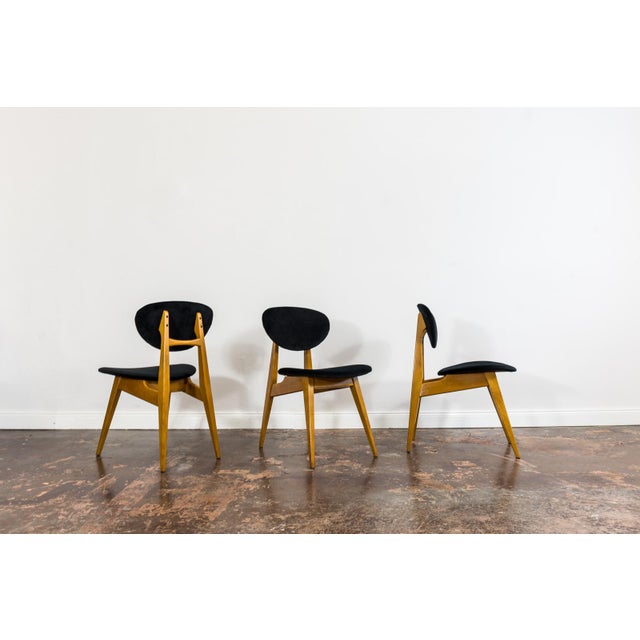 Vintage GFM 22 Chairs by J. Kędziorek, Poland, 1960s, Set of 3 For Sale - Image 4 of 14