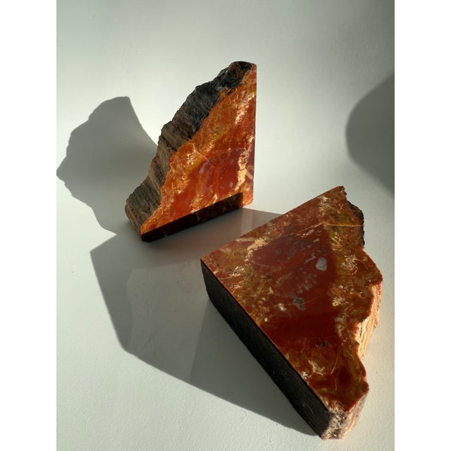 1970s Vintage MCM Pair of Petrified Wood Bookends Arizona Rainbow For Sale - Image 5 of 14