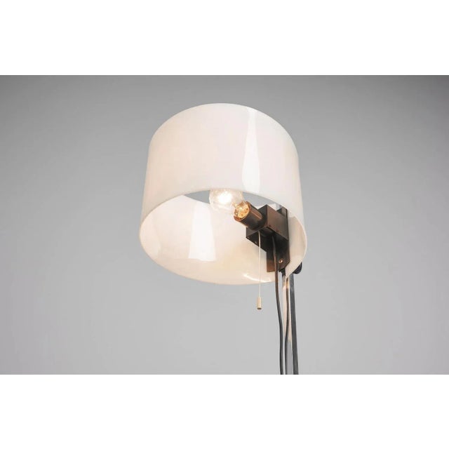 Black TMMC Floor Lamp by Miguel Milá, 1950 For Sale - Image 8 of 10