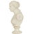 Italian Grand Tour Carved Alabaster Bust of Venus of Milo, 20th Century For Sale - Image 6 of 18