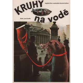 Ring of Bright Water 1972 Czech A3 Film Poster For Sale