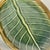 1990s Vintage Coastal Boho Chic Trompe L’Oeil Banana Leaf Earthenware Serving Dishes - Set of 3 For Sale - Image 10 of 14