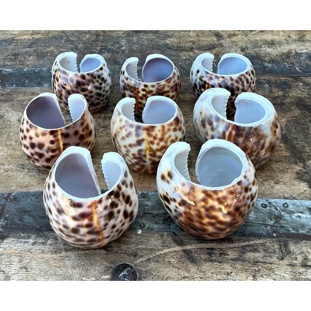 Vintage Sliced Shell Napkin Holders - Set of 8 For Sale - Image 4 of 12