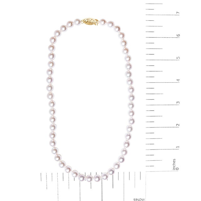 14K Yellow Gold 8.0x8.5mm Akoya Pearl Strand Necklace For Sale In New York - Image 6 of 6