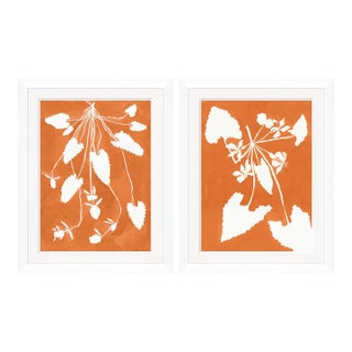 Marigold Pixie and Alocasia by Susan Hable For Sale